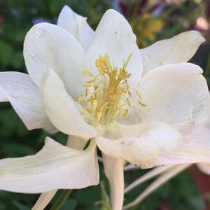 Meet your Posher, Gia